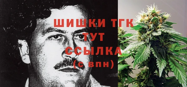 гашик Волосово