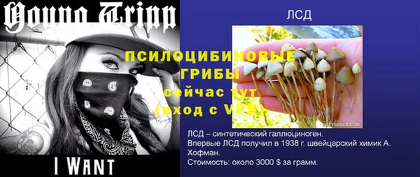 гидропоника Волоколамск